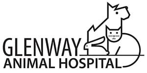 Glenway Animal Hospital